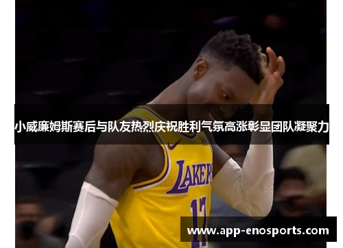小威廉姆斯赛后与队友热烈庆祝胜利气氛高涨彰显团队凝聚力