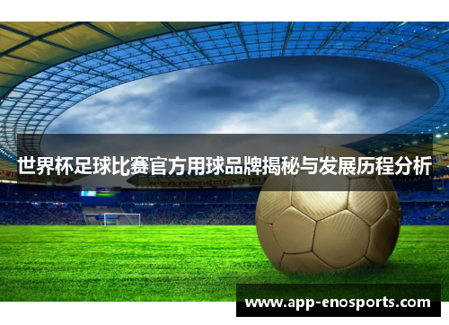 世界杯足球比赛官方用球品牌揭秘与发展历程分析