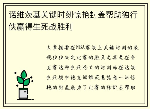 诺维茨基关键时刻惊艳封盖帮助独行侠赢得生死战胜利