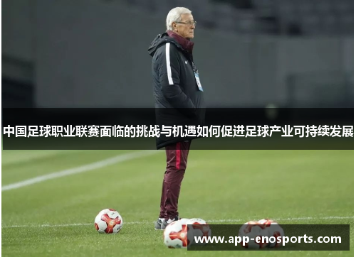 中国足球职业联赛面临的挑战与机遇如何促进足球产业可持续发展
