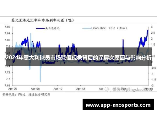 2024年意大利球员市场贬值现象背后的深层次原因与影响分析